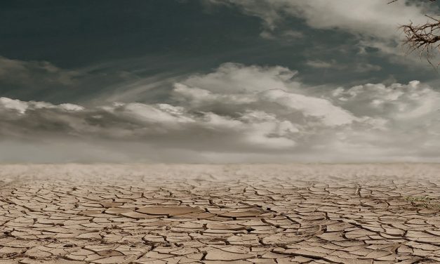 Hacia nuevas herramientas para responder a la sequía – Entrevista a Pablo Spennemann