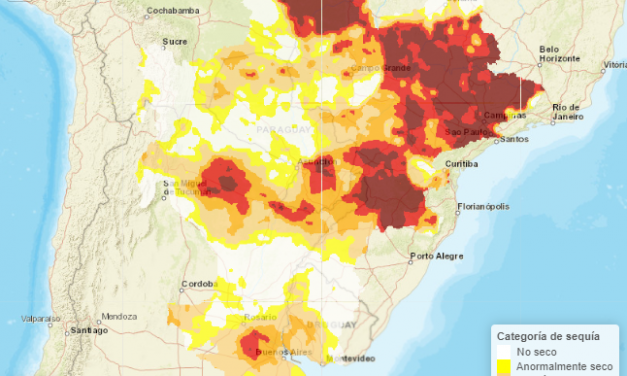 Sequía, bajante e impactos en la Cuenca del Plata