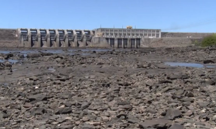 Sequía en Uruguay: el déficit hídrico amenaza los cultivos y la producción ganadera local