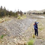 Sequía en Bolivia: la actividad agrícola y ganadera en alerta