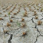 Sequía en Argentina: estrategia nacional para enfrentar unos de los años más secos registrados
