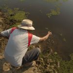 El Niño en Paraguay: desafíos y problemas con la llegada de las lluvias